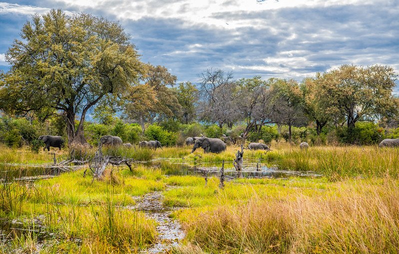 Photo by Follow Alice from Pexels